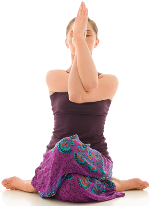 Ananda Yoga And Wellness Center Rishikesh 